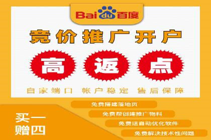 行业领先企业的SEM优化之路